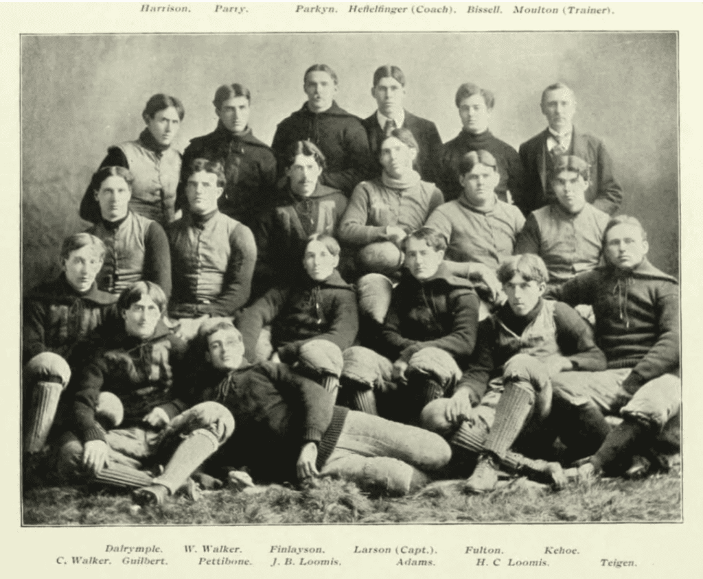 Minnesota Golden Gophers football team 1895