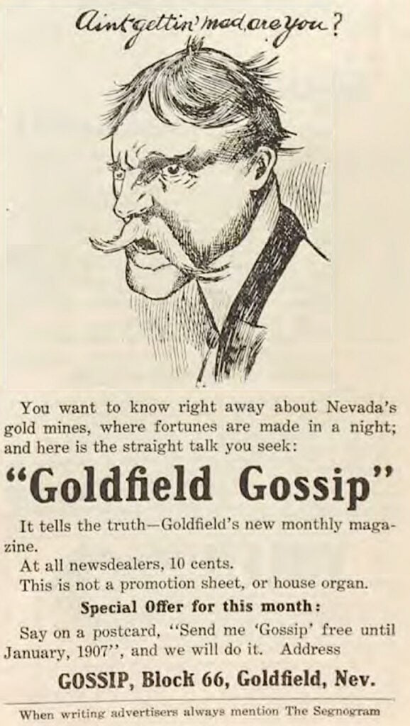 Goldfield Gossip by Sydney B. Flower